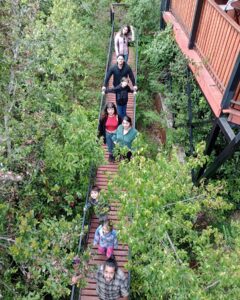 Grupo Visitando Sendero