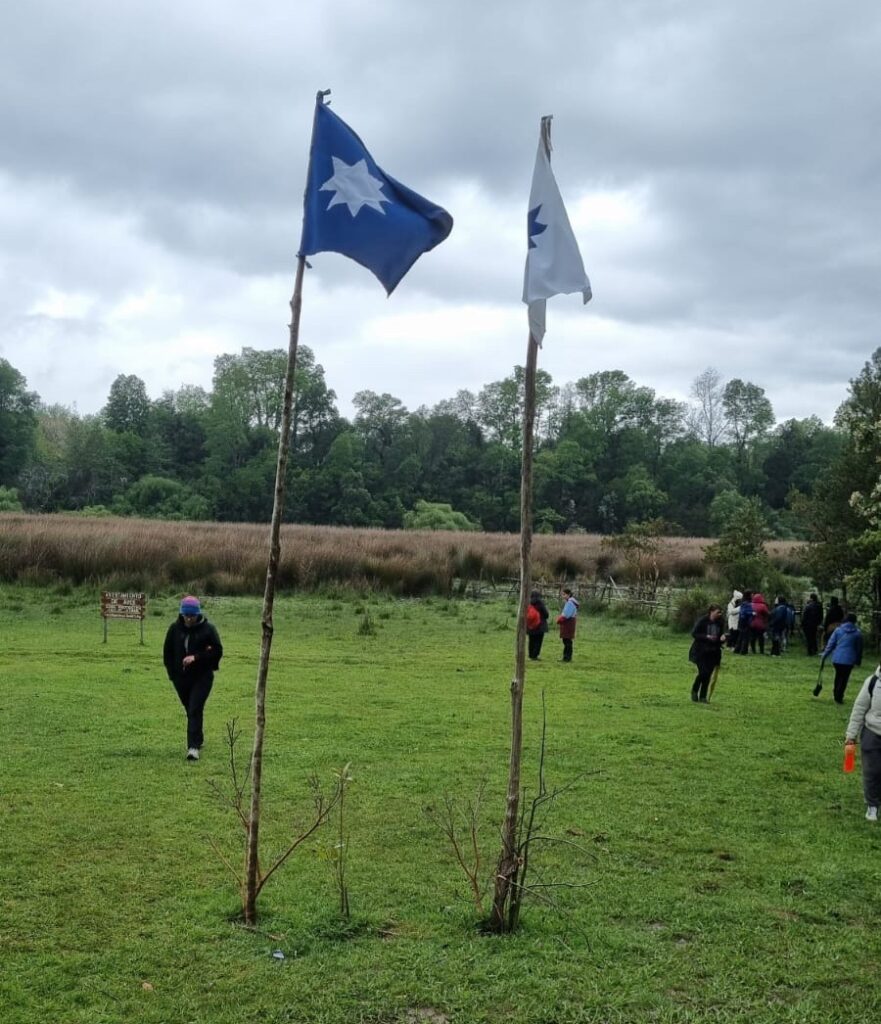 Banderas Eltuwe